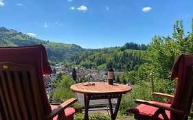 Ferienwohnung Traumblick
